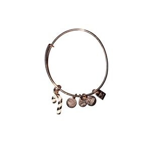 Alex and Ani Candy Cane Bangle Bracelet Rose Gold Tone Holiday Christmas Charm